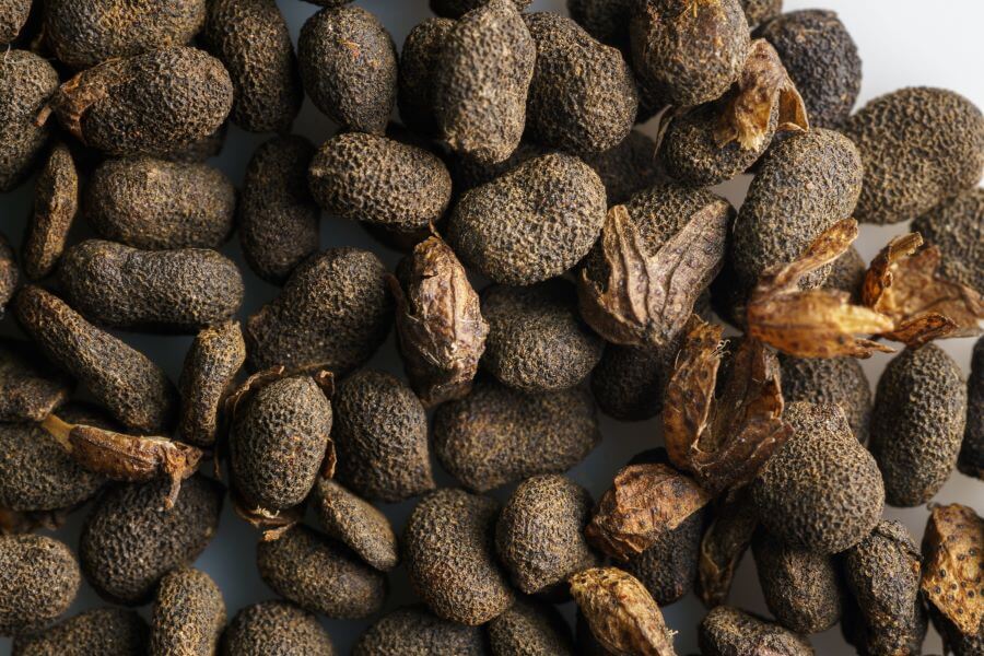 dry seeds of the bakuchiol Psoralea corylifolia